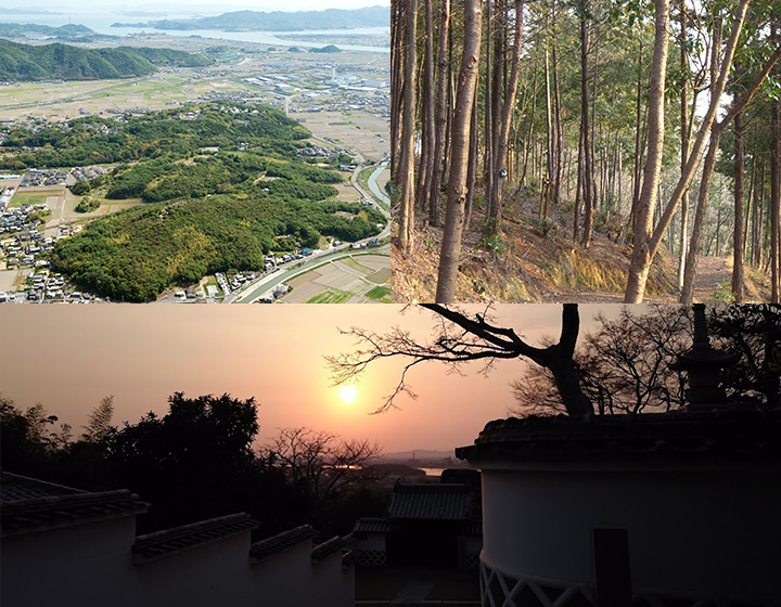 山の上で陽光を感じていた