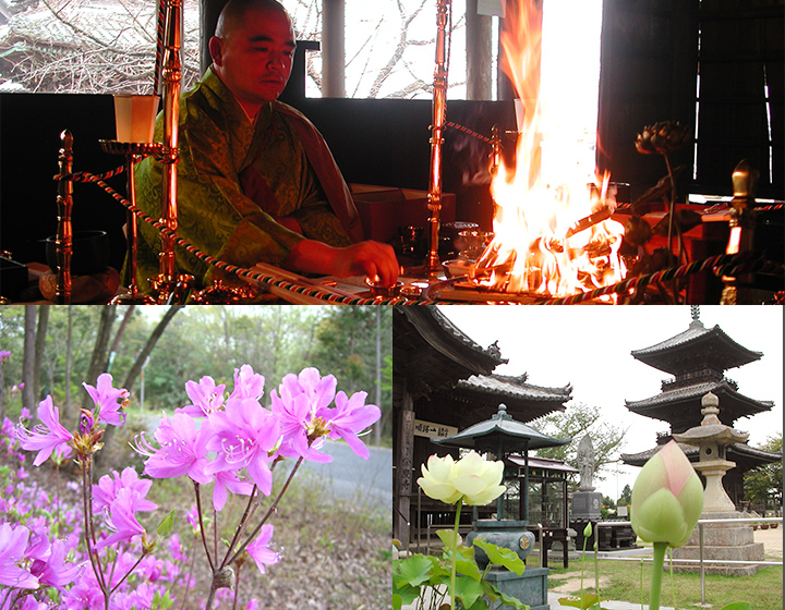 悩む心を祈る心に変えよ